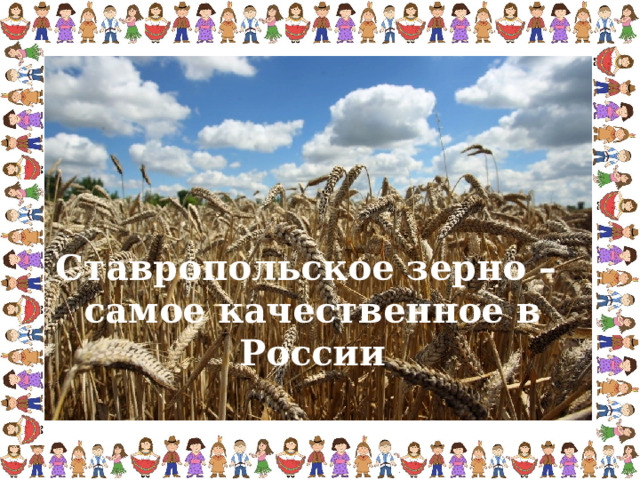 Ставропольское зерно – самое качественное в России 