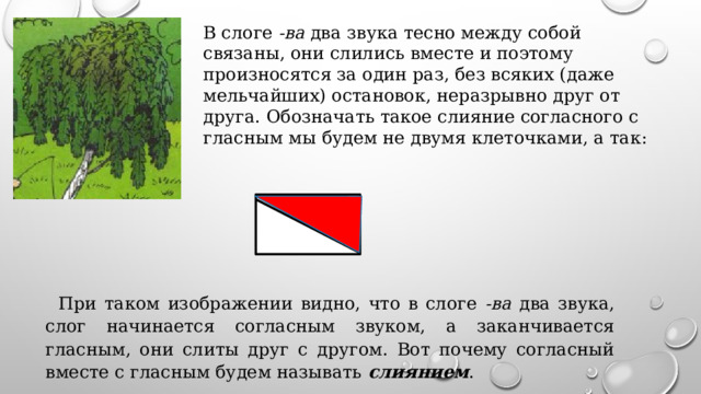 В слоге -ва два звука тесно между собой связаны, они слились вместе и поэтому произносятся за один раз, без всяких (даже мельчайших) остановок, неразрывно друг от друга. Обозначать такое слияние согласного с гласным мы будем не двумя клеточками, а так: При таком изображении видно, что в слоге -ва два звука, слог начинается согласным звуком, а заканчивается гласным, они слиты друг с другом. Вот почему согласный вместе с гласным будем называть слиянием . 