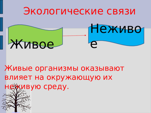 Экологические связи  Живое Неживое Живые организмы оказывают влияет на окружающую их неживую среду. Живые организмы оказывают влияет на окружающую их неживую среду. 4 