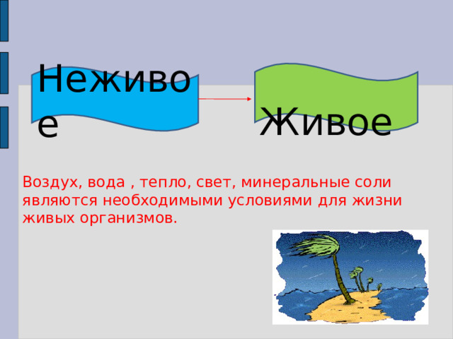  Живое Неживое Воздух, вода , тепло, свет, минеральные соли являются необходимыми условиями для жизни живых организмов. Воздух, вода , тепло, свет, минеральные соли являются необходимыми условиями для жизни живых организмов. 5 