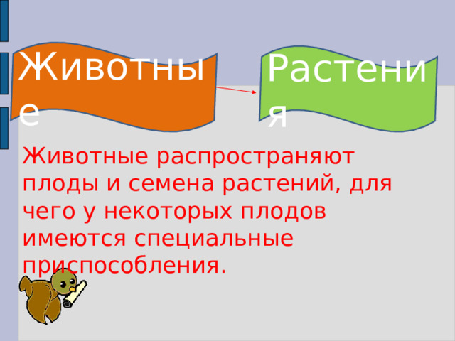 Животные Растения Животные распространяют плоды и семена растений, для чего у некоторых плодов имеются специальные приспособления. Животные распространяют плоды и семена растений, для чего у некоторых плодов имеются специальные приспособления. 6 