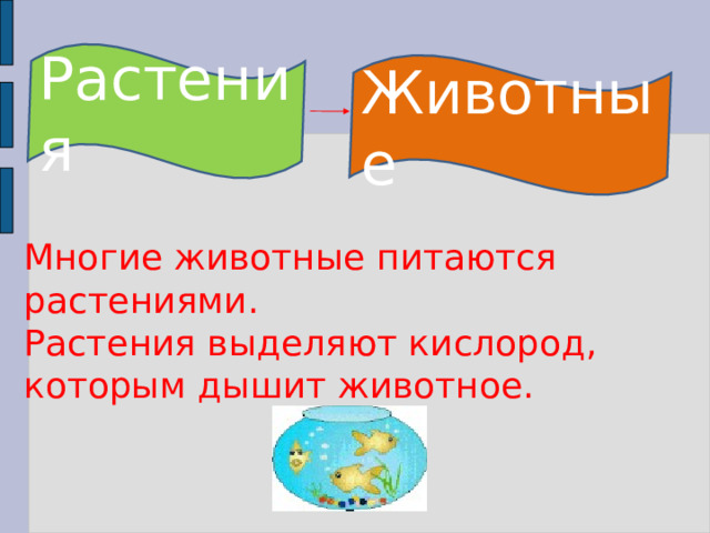 Растения Животные Многие животные питаются растениями. Растения выделяют кислород, которым дышит животное. Многие животные питаются растениями. Растения выделяют кислород, которым дышит животное. 6 