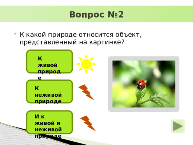 Презентация что относится к природе