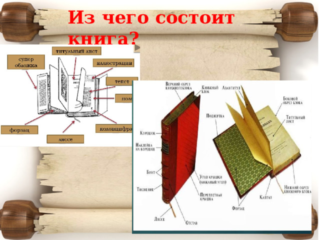 Из чего состоит книга? 