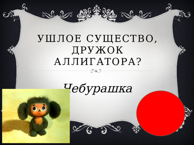  Ушлое существо, дружок аллигатора? Чебурашка 