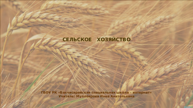 СЕЛЬСКОЕ ХОЗЯЙСТВО ГБОУ РК «Бахчисарайская специальная школа – интернат» Учитель: Муллоярова Инна Анатольевна 