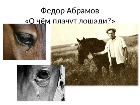 Почему плачут лошади краткое