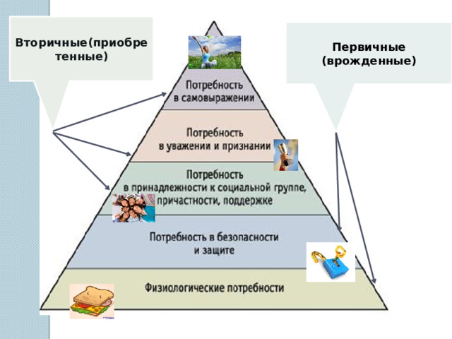 Вторичные(приобретенные) Первичные (врожденные) 8 