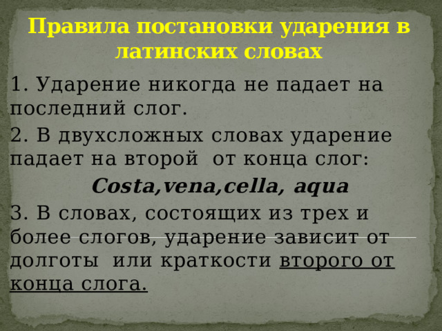 Ударение в латинском