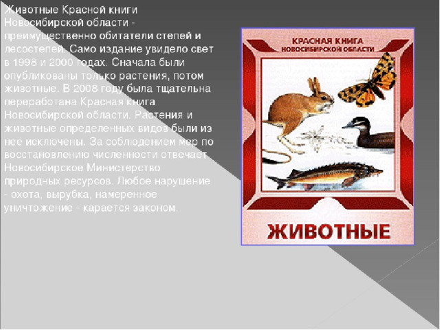 Красная книга нсо презентация