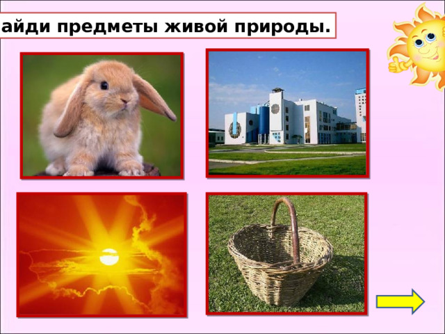 Живая природа и неживая природа 2 класс презентация