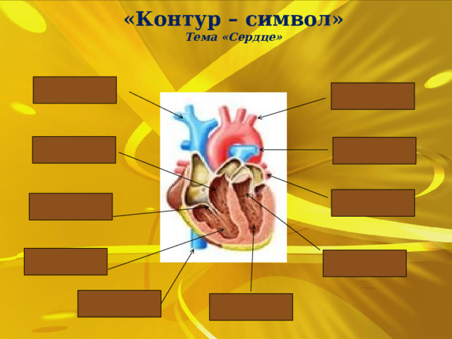 «Контур – символ»  Тема «Сердце» 