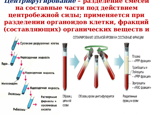  Центрифугирование  – разделение смесей на составные части под действием центробежной силы; применяется при разделении органоидов клетки, фракций (составляющих) органических веществ и т.д.   