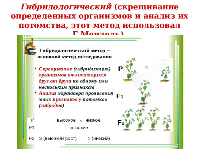   Гибридологический  (скрещивание определенных организмов и анализ их потомства, этот метод использовал Г.Мендель).   