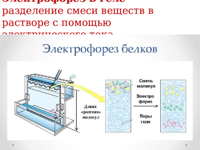  Электрофорез в геле – разделение смеси веществ в растворе с помощью электрического тока.   