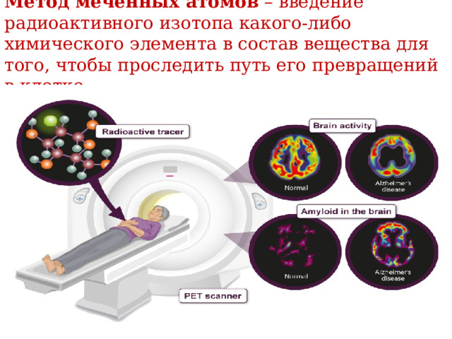   Метод меченных атомов – введение радиоактивного изотопа какого-либо химического элемента в состав вещества для того, чтобы проследить путь его превращений в клетке.   