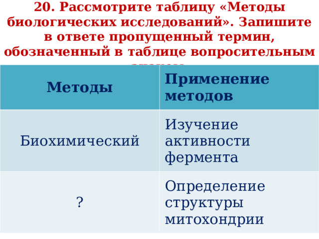   20. Рассмотрите таблицу «Методы биологических исследований». Запишите в ответе пропущенный термин, обозначенный в таблице вопросительным знаком.   Методы Применение методов Биохимический Изучение активности фермента ? Определение структуры митохондрии 