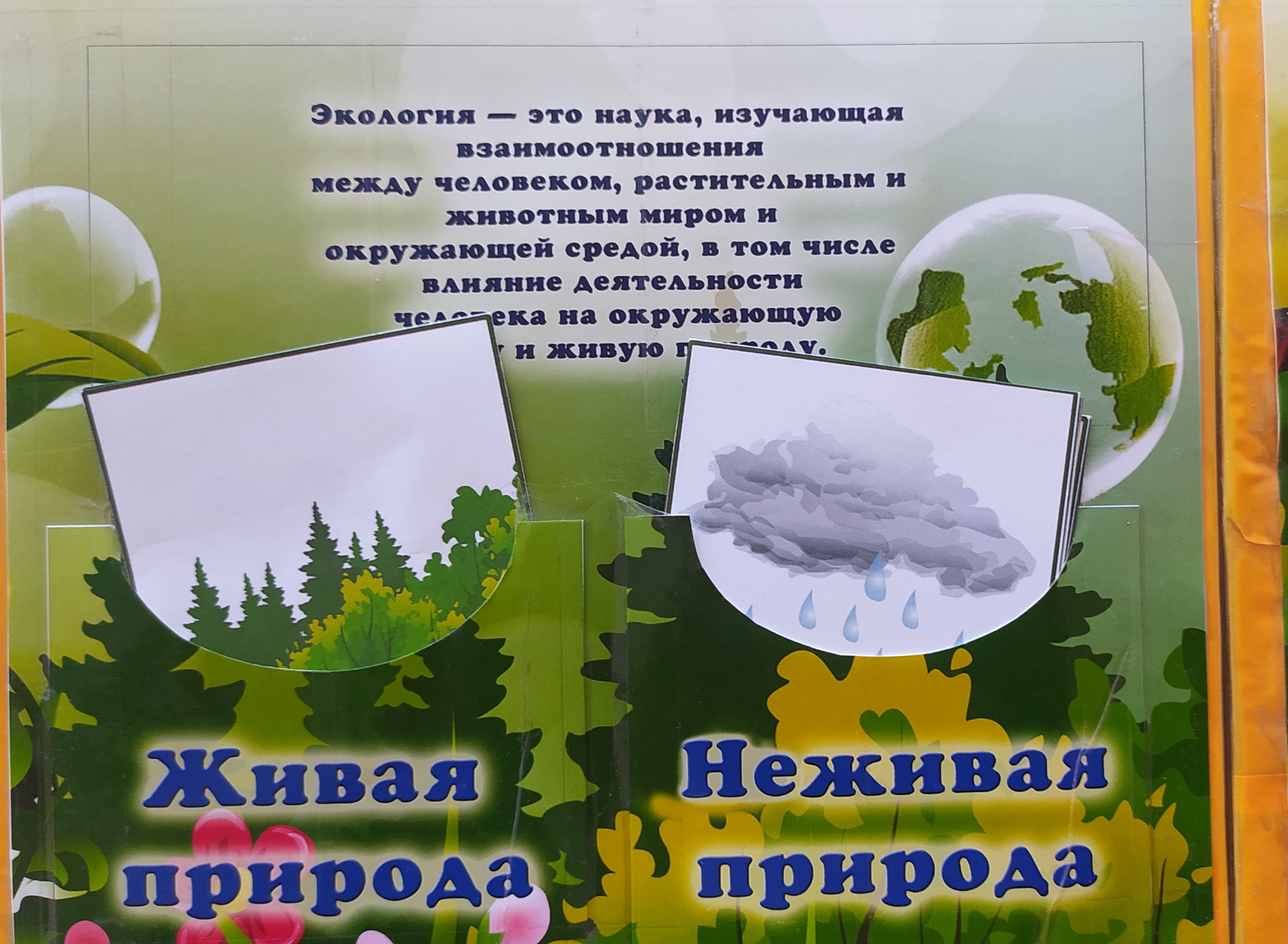 Лепбук и кейсбук как средство экологического воспитания детей дошкольного  возраста