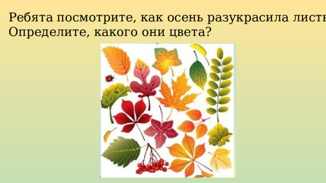 Ребята посмотрите, как осень разукрасила листья?  Определите, какого они цвета? 