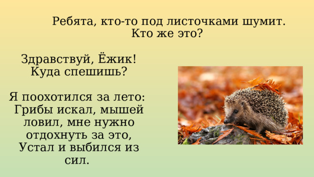 Ребята, кто-то под листочками шумит.  Кто же это? Здравствуй, Ёжик!  Куда спешишь?   Я поохотился за лето:  Грибы искал, мышей ловил, мне нужно отдохнуть за это,  Устал и выбился из сил. 