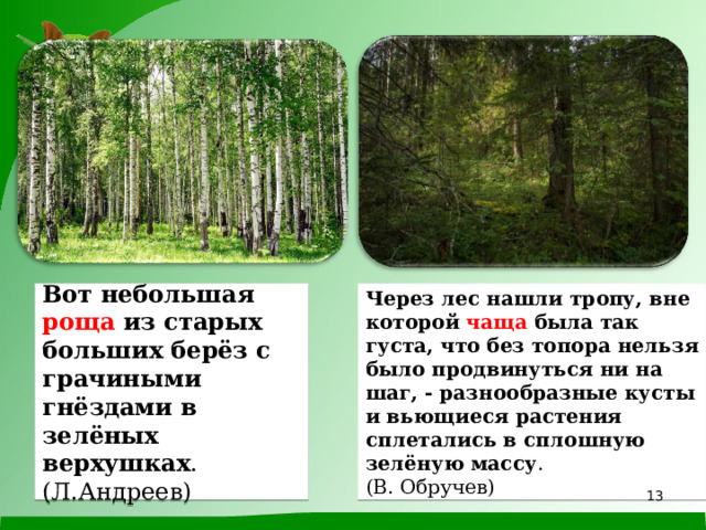 Рисунок ходов напоминал непролазную чащу вьющихся растений знаки препинания