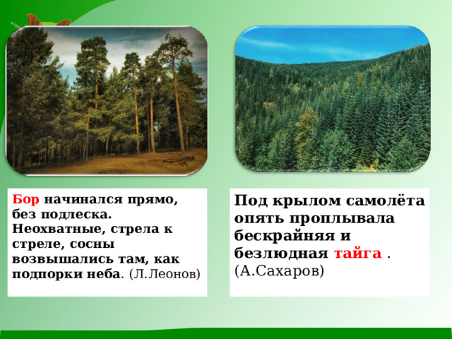 Какой лес без чудес 3 класс родной язык презентация конспект