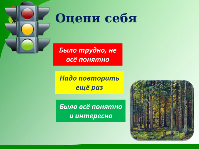 Какой лес без чудес 3 класс родной язык презентация