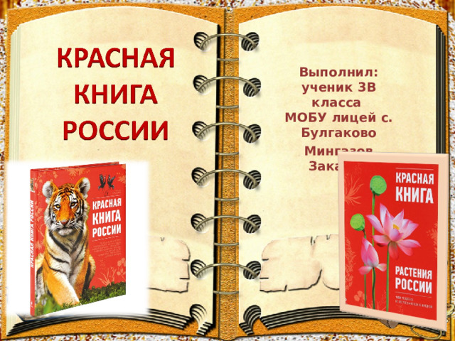 Фон для проекта красная книга