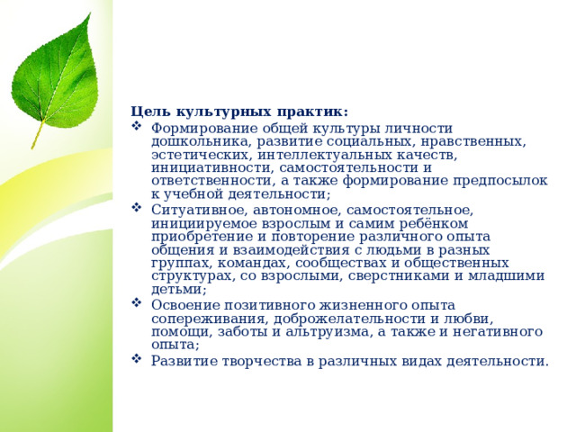 Реализация социальных культурных проектов