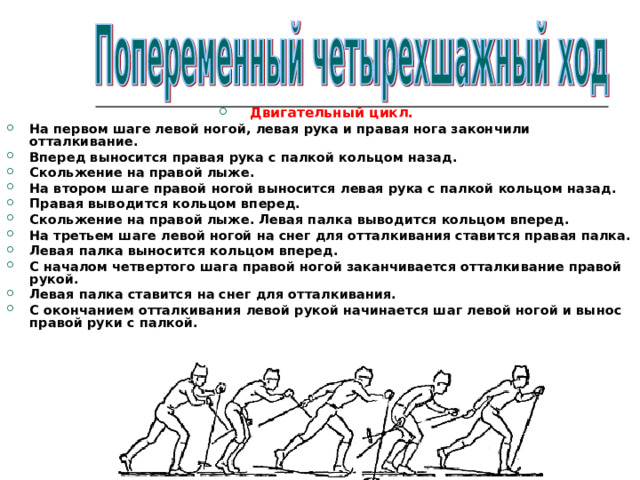 Двигательный цикл. На первом шаге левой ногой, левая рука и правая нога закончили отталкивание. Вперед выносится правая рука с палкой кольцом назад. Скольжение на правой лыже. На втором шаге правой ногой выносится левая рука с палкой кольцом назад. Правая выводится кольцом вперед. Скольжение на правой лыже. Левая палка выводится кольцом вперед. На третьем шаге левой ногой на снег для отталкивания ставится правая палка. Левая палка выносится кольцом вперед. С началом четвертого шага правой ногой заканчивается отталкивание правой рукой. Левая палка ставится на снег для отталкивания. С окончанием отталкивания левой рукой начинается шаг левой ногой и вынос правой руки с палкой.   