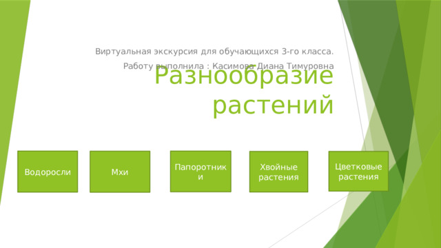 Виртуальная экскурсия для обучающихся 3-го класса. Работу выполнила : Касимова Диана Тимуровна Разнообразие растений Водоросли Папоротники Мхи Хвойные растения Цветковые растения 