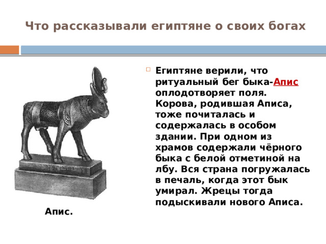 Что рассказывали египтяне о своих богах Египтяне верили, что ритуальный бег быка- Апис оплодотворяет поля. Корова, родившая Аписа, тоже почиталась и содержалась в особом здании. При одном из храмов содержали чёрного быка с белой отметиной на лбу. Вся страна погружалась в печаль, когда этот бык умирал. Жрецы тогда подыскивали нового Аписа. Апис. 