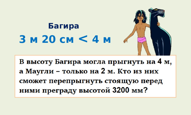 Багира 3 м 20 см  4 м 