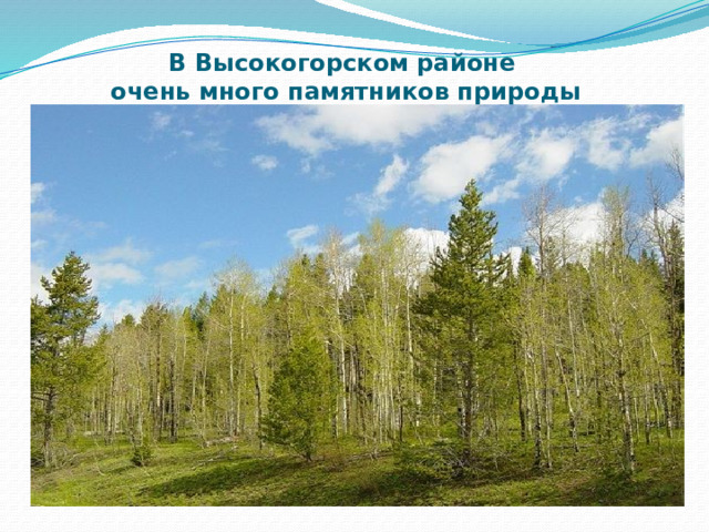 В Высокогорском районе  очень много памятников природы 