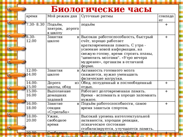 Биологические часы время Мой режим дня 7.30- 8.30 Суточные ритмы Подъём, завтрак, дорога в школу 8.30-12.00 совпадает подъём Занятия в школе 12.00-14.00 14.00-15.00 + Высокая работоспособность, быстрый счёт, хорошо работает кратковременная память. С утра - усвоение новой информации, на свежую голову, время строить планы, 