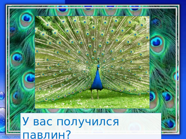 У вас получился павлин? 