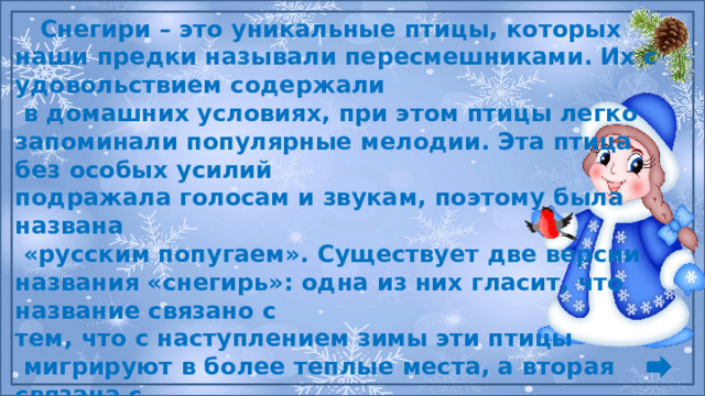  Снегири – это уникальные птицы, которых наши предки называли пересмешниками. Их с удовольствием содержали  в домашних условиях, при этом птицы легко запоминали популярные мелодии. Эта птица без особых усилий подражала голосам и звукам, поэтому была названа  «русским попугаем». Существует две версии названия «снегирь»: одна из них гласит, что название связано с тем, что с наступлением зимы эти птицы  мигрируют в более теплые места, а вторая связана с тюркским словом «сниг», что означает красногрудый. Постепенно это название трансформировалось  в современное название птицы «снегирь».  Давайте нарисуем снегиря!  