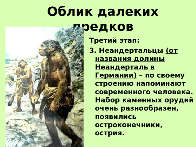 Облик далеких предков Третий этап: 3. Неандертальцы (от названия долины Неандерталь в Германии) – по своему строению напоминают современного человека. Набор каменных орудий очень разнообразен, появились остроконечники, острия. 