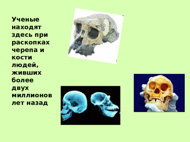 Ученые находят здесь при раскопках черепа и кости людей, живших более двух миллионов лет назад  