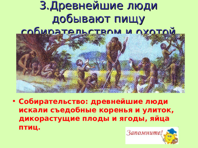 3.Древнейшие люди добывают пищу собирательством и охотой   Собирательство: древнейшие люди искали съедобные коренья и улиток, дикорастущие плоды и ягоды, яйца птиц.  