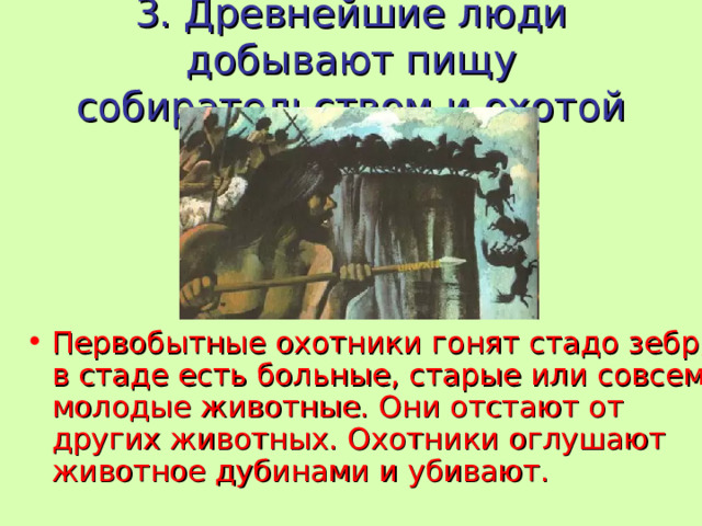 3. Древнейшие люди добывают пищу собирательством и охотой   Первобытные охотники гонят стадо зебр, в стаде есть больные, старые или совсем молодые животные. Они отстают от других животных. Охотники оглушают животное дубинами и убивают. 