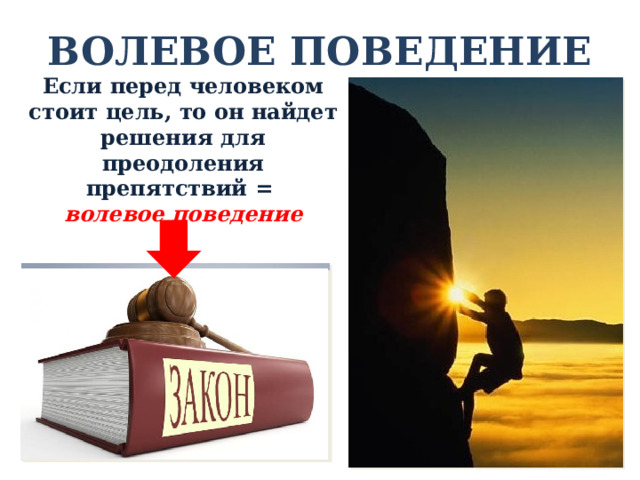 Действие против воли человека статья. Поступок это в обществознании. Волеизъявление человека. Обществознание подвиг человека. Волевой поступок.