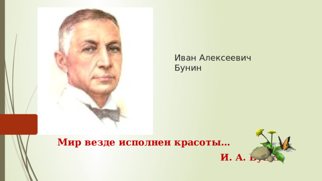 Бунин рабочие листы полевые цветы