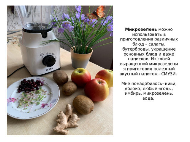 Микрозелень можно использовать в приготовления различных блюд – салаты, бутерброды, украшение основных блюд и даже напитков. Из своей выращенной микрозелени я приготовил полезный вкусный напиток - СМУЗИ.   Мне понадобилось- киви, яблоко, любые ягоды, имбирь, микрозелень, вода. 