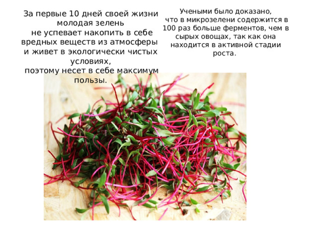 Учеными было доказано,  что в микрозелени содержится в 100 раз больше ферментов, чем в сырых овощах, так как она находится в активной стадии роста.   За первые 10 дней своей жизни молодая зелень  не успевает накопить в себе вредных веществ из атмосферы  и живет в экологически чистых условиях,  поэтому несет в себе максимум пользы.   .   