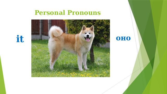 Personal Pronouns it оно 