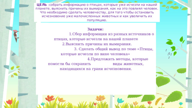 ЦЕЛЬ :собрать информацию о птицах, которые уже исчезли на нашей планете, выяснить причины их вымирания, как на это повлиял человек. Что необходимо сделать человечеству, для того чтобы остановить исчезновение уже малочисленных животных и как увеличить их популяцию.   Задачи:    1.Сбор информации из разных источников о птицах, которые исчезли на нашей планете  2.Выяснить причины их вымирания.   3. Сделать общий вывод по теме «Птицы, которые исчезли по вине человека»   4.Предложить методы, которые помогли бы сохранить виды животных, находящихся на грани исчезновения.    