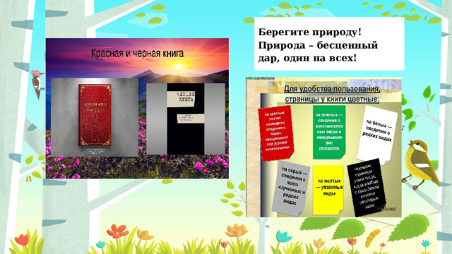 Берегите природу! Природа – бесценный дар, один на всех! Неправильный ответ Неправильный ответ 