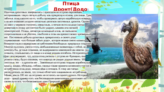 Птица Дронт(Додо ) Неправильный ответ 