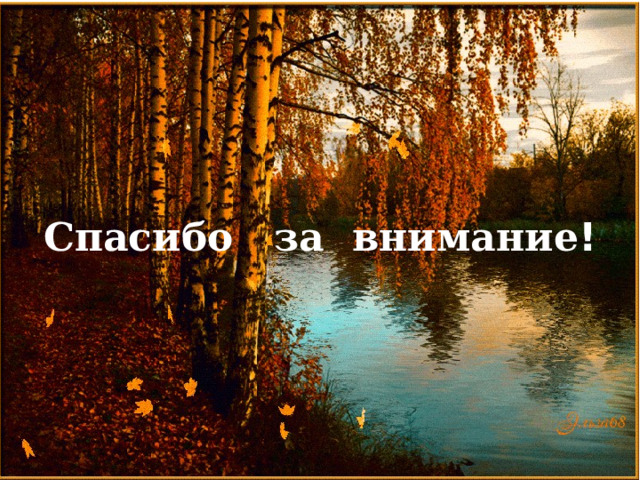 Спасибо за внимание ! 